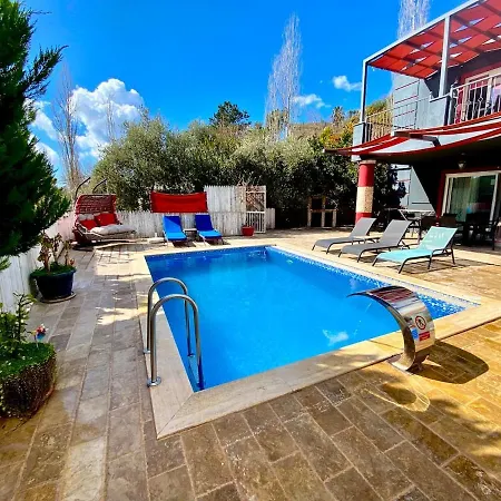 فيلة Turkuaz 1 Kalkan كاس