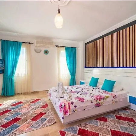 Turkuaz 1 Kalkan كاس